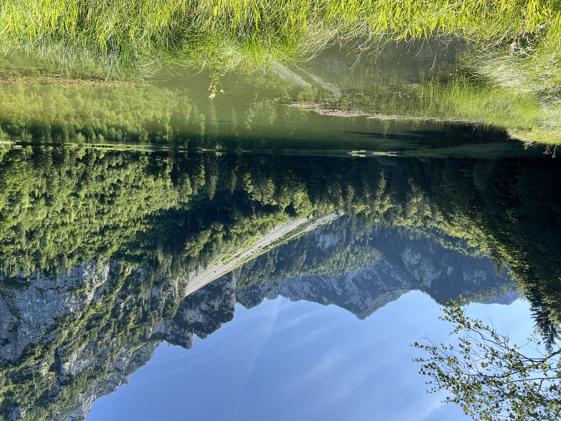 Geführte Naturmeditation