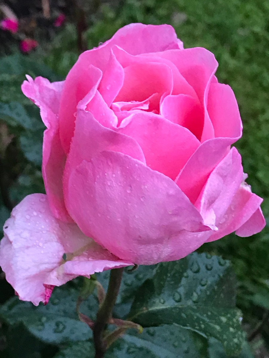 Liebe ist unendlich
