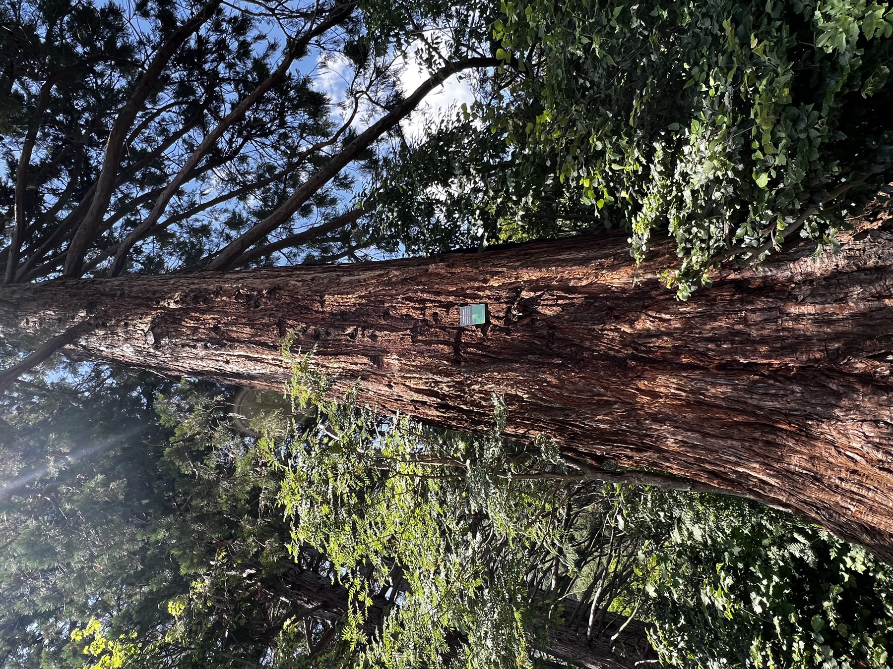 Naturimpression